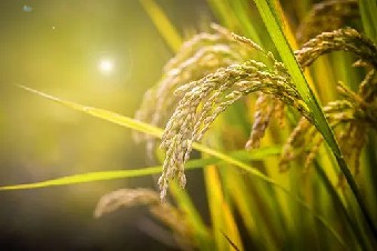 避免亡羊补牢在项目上我们六年内一共完成近......《重筑黄金台》摘录